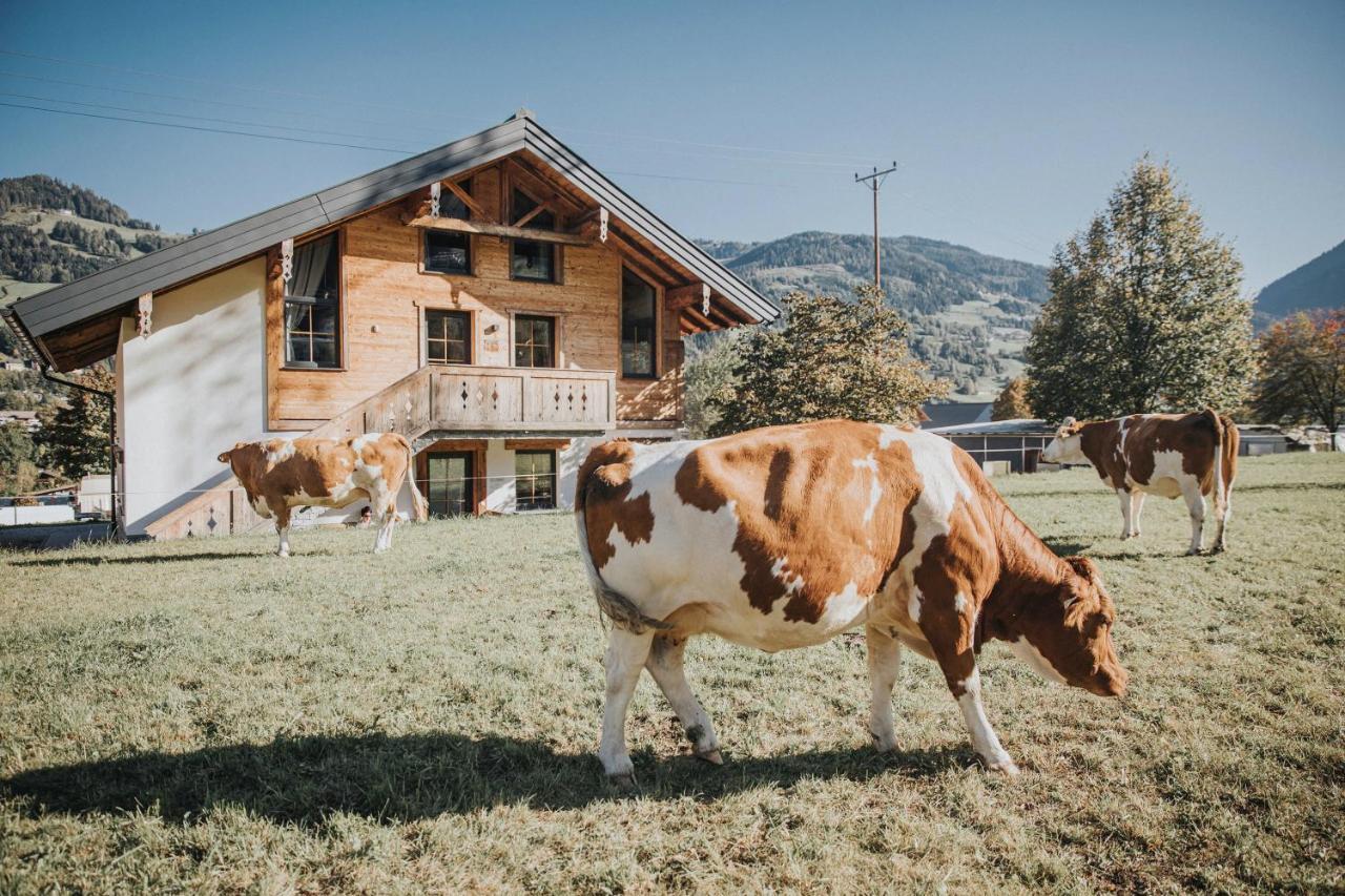 Appartements Wieshof Sankt Johann im Pongau Esterno foto